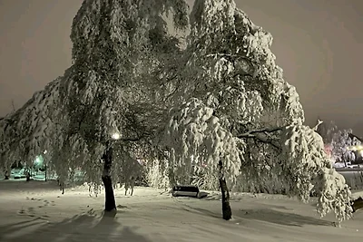 Chill Out Apartment Bergblick