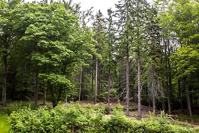 Vakantieappartement Gezinsvakantie Szklarska Poreba