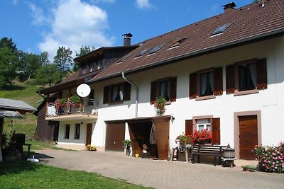 Vakantieappartement Gezinsvakantie Kleines Wiesental