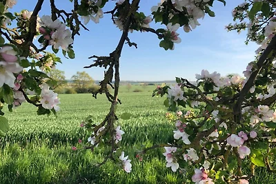Ferienwohnung Wesertal