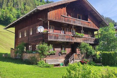 Apartamento Vacaciones familiares Oberau Wildschönau
