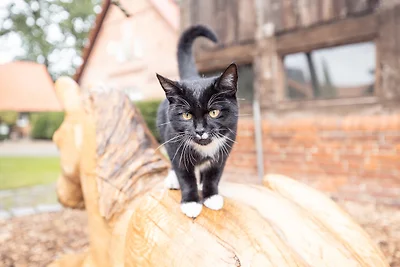 Ramakers Hof - Rote Wohnung