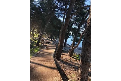 Ferienwohnung MiraMare