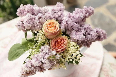 Vakantieappartement Gezinsvakantie Kühlungsborn