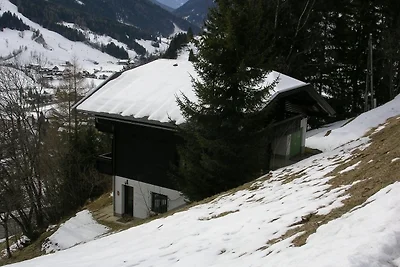 Vakantiehuis Ontspannende vakantie Bad Kleinkirchheim