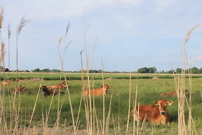 Casa vacanze Vacanza di relax Butjadingen