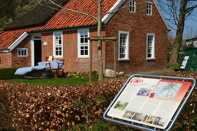 Ferienwohnung Adriane