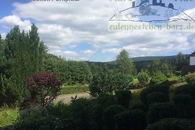 Fewo Eulennestchen-Harz L.2 für