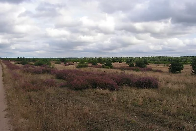 Vakantieappartement Gezinsvakantie Siggelkow