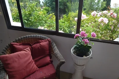 Casa las Pincoras
