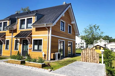 Sonnenbirke