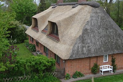 Vakantiehuis Ontspannende vakantie Oldenswort