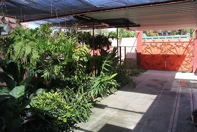 Hostal El Yoyi & Liuba Appartement