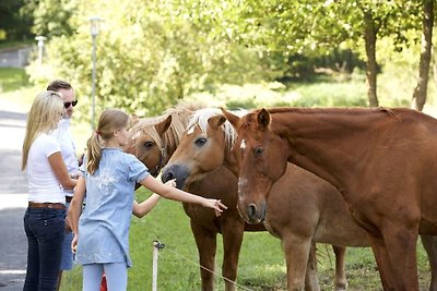 Appartamento Vacanza con famiglia Crivitz