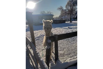 Ferienwohnung Sonnenschein mit