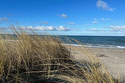 Holiday flat family holiday Burg auf Fehmarn