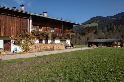 Vakantieappartement Gezinsvakantie Wildschönau