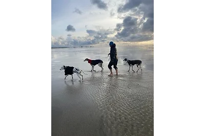 Landhaus Sonnenglück-freistehend