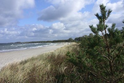 Vier-Winde-Villa mit Schwimmbad