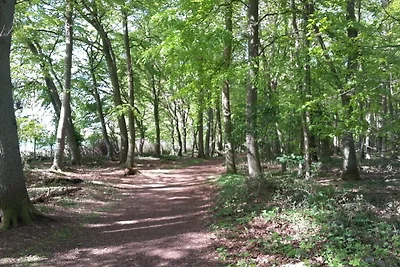 Ponykoppel (adult only bzw ab 16