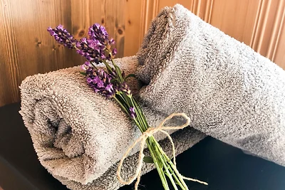 Ferienwohung in Dresden am Elbhang