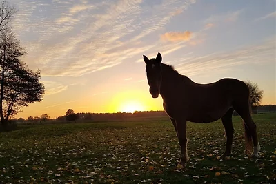 Ferienhof Winther 1