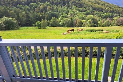 Vakantieappartement Gezinsvakantie Schöfweg