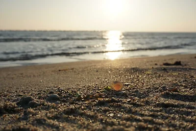 Ferienwohnung Noak - Baabe