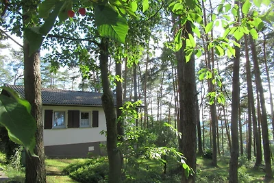 Feriendorf Mengshausen 5