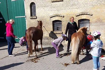 Vakantieappartement Gezinsvakantie Burg auf Fehmarn