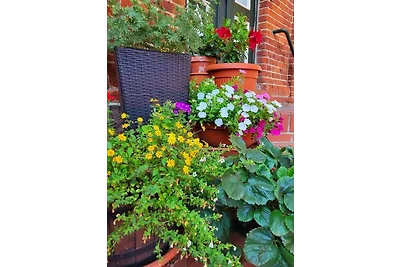 Ferienwohnung Hof Schacht