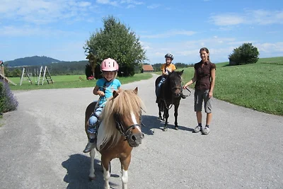 Appartamento Vacanza con famiglia Peiting