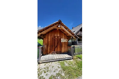 Stodertraum 5 "Schlüsselblume" by