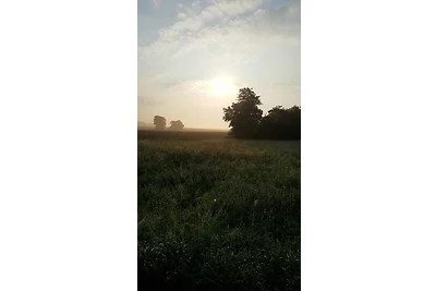 Fewo Seenlandschaft