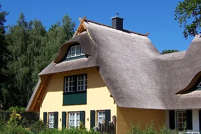 Casa vacanze Vacanza di relax Dierhagen