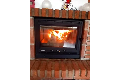 Eifel Ferienhaus mit Hunden