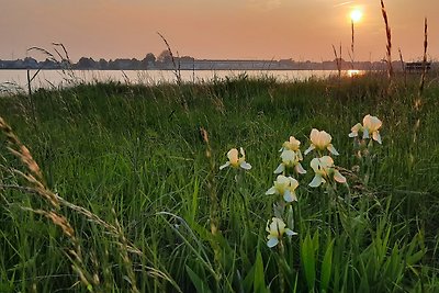 Ferienwohnungen Stührenberg -