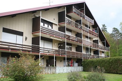 Vakantieappartement Gezinsvakantie Südwestpfalz