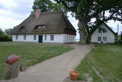 Lütow, Zum Möwenort 15 WE 2