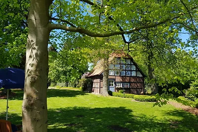 Vakantiehuis Ontspannende vakantie Rotenburg Ortsteil Waffensen