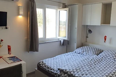 Olivia Valkanela App. 3