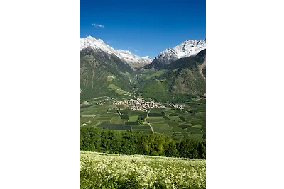 Fewo (Dreiraum) im Haus Götsch (2)