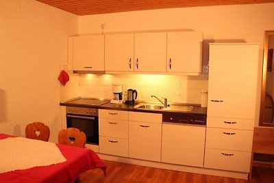 Vakantieappartement Gezinsvakantie Todtnau