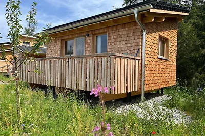 Wald ist Zukunft [Baumhaus Biene]