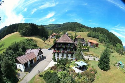 Vakantieappartement Gezinsvakantie Gutach