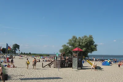 Accommodatie Vakantie op de boerderij Eggesin