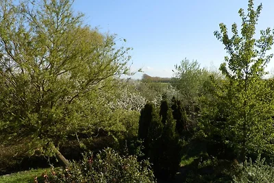 Vakantieappartement Gezinsvakantie Nienhagen