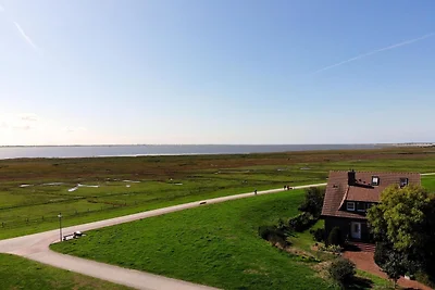 Gartenblick, Klaar Kimming Baltrum