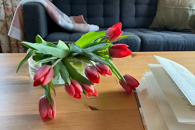 Ferien bei Goos - Ferienwohnung