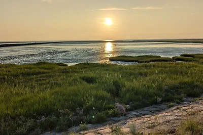 Vakantiehuis Ontspannende vakantie Nordholz